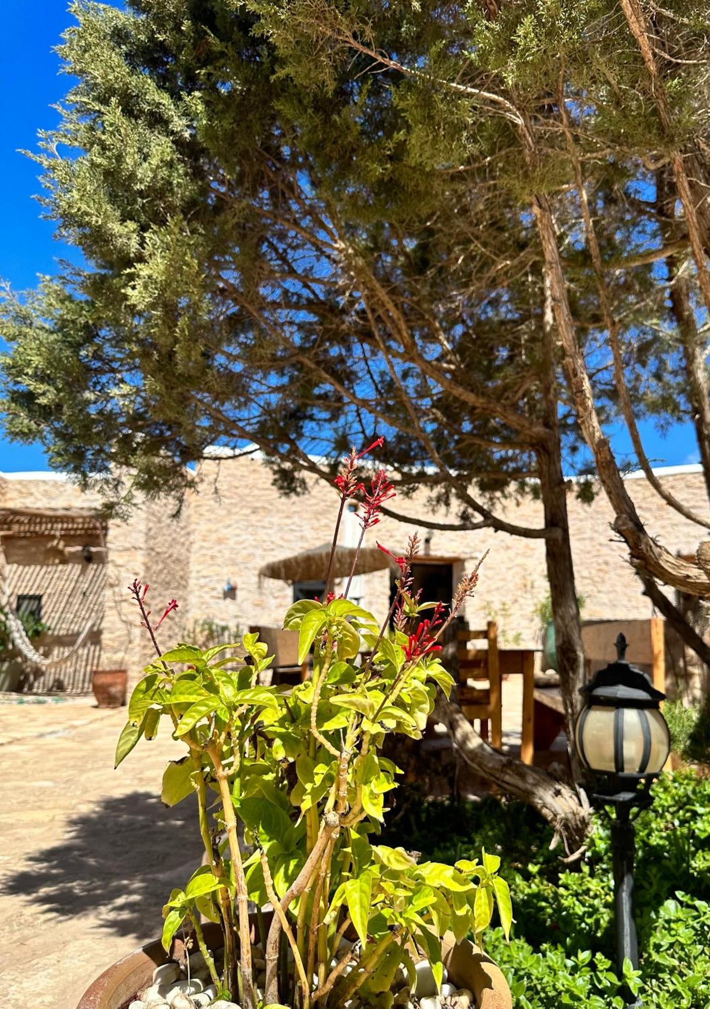 Atlantis 12, Maison D'Hotes Et D'Art Essaouira Buitenkant foto